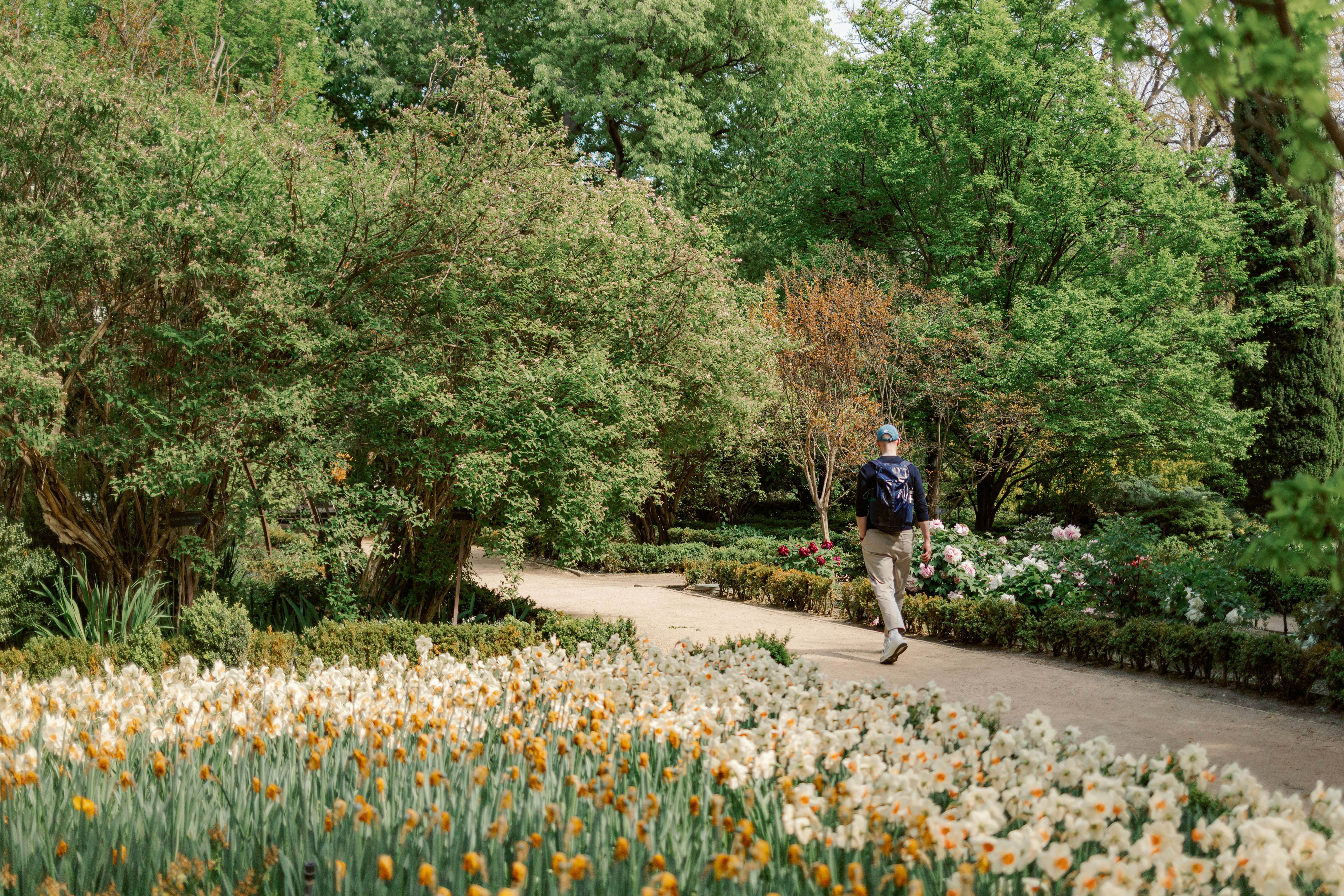 People walking along a lakeside path in a park on a sunny day